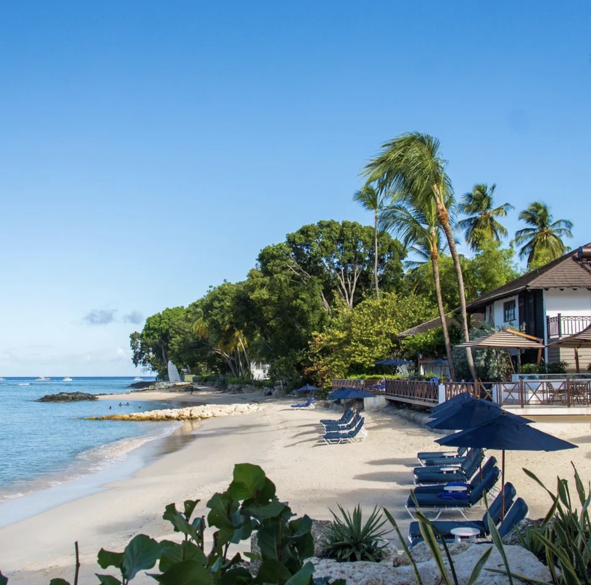 THE COLOUR FESTIVAL EXPERIENCE's image