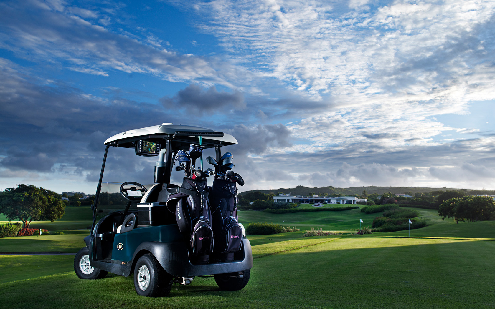 THE COLOUR FESTIVAL EXPERIENCE's image