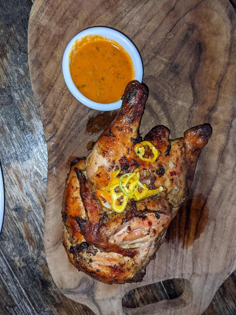 THE COLOUR FESTIVAL EXPERIENCE's image