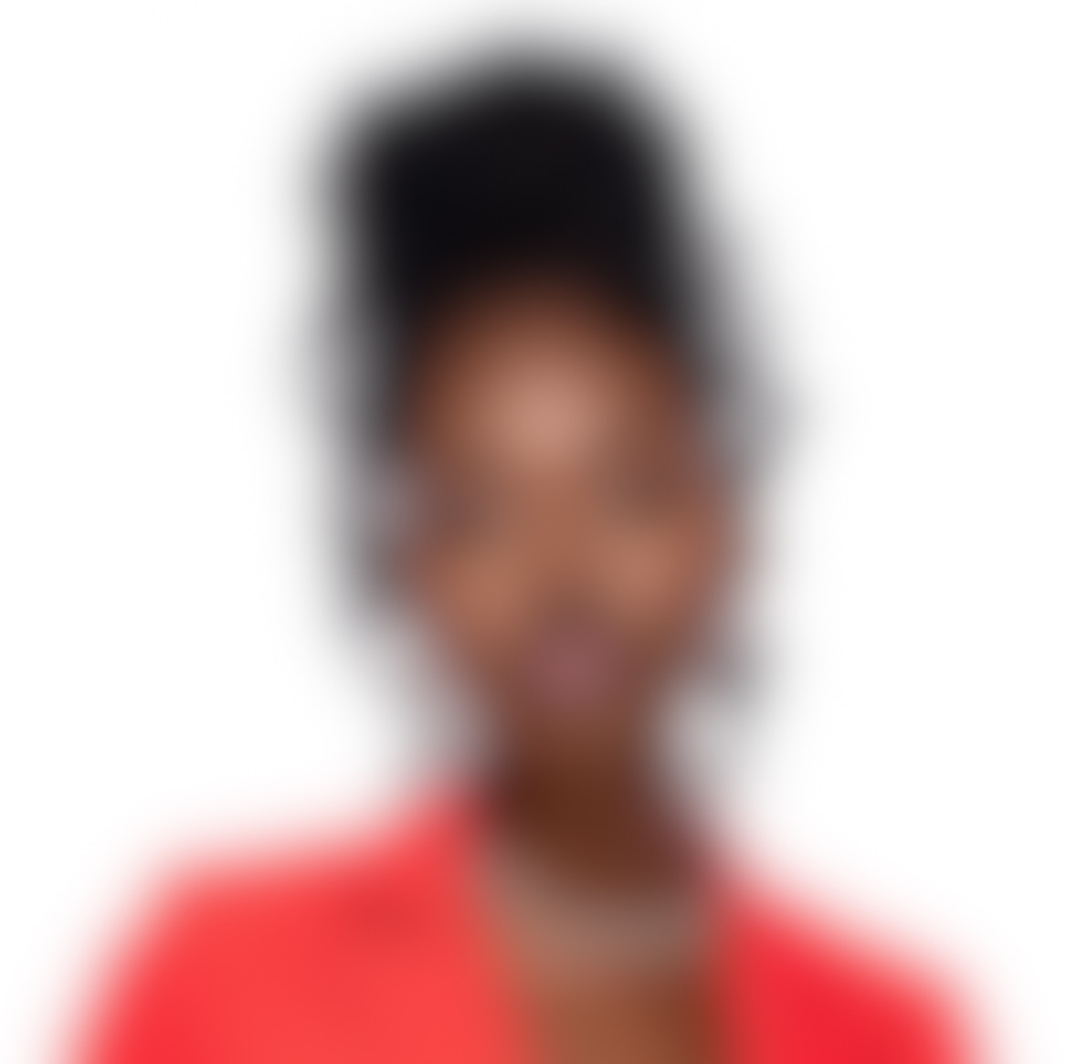 THE COLOUR FESTIVAL EXPERIENCE's image