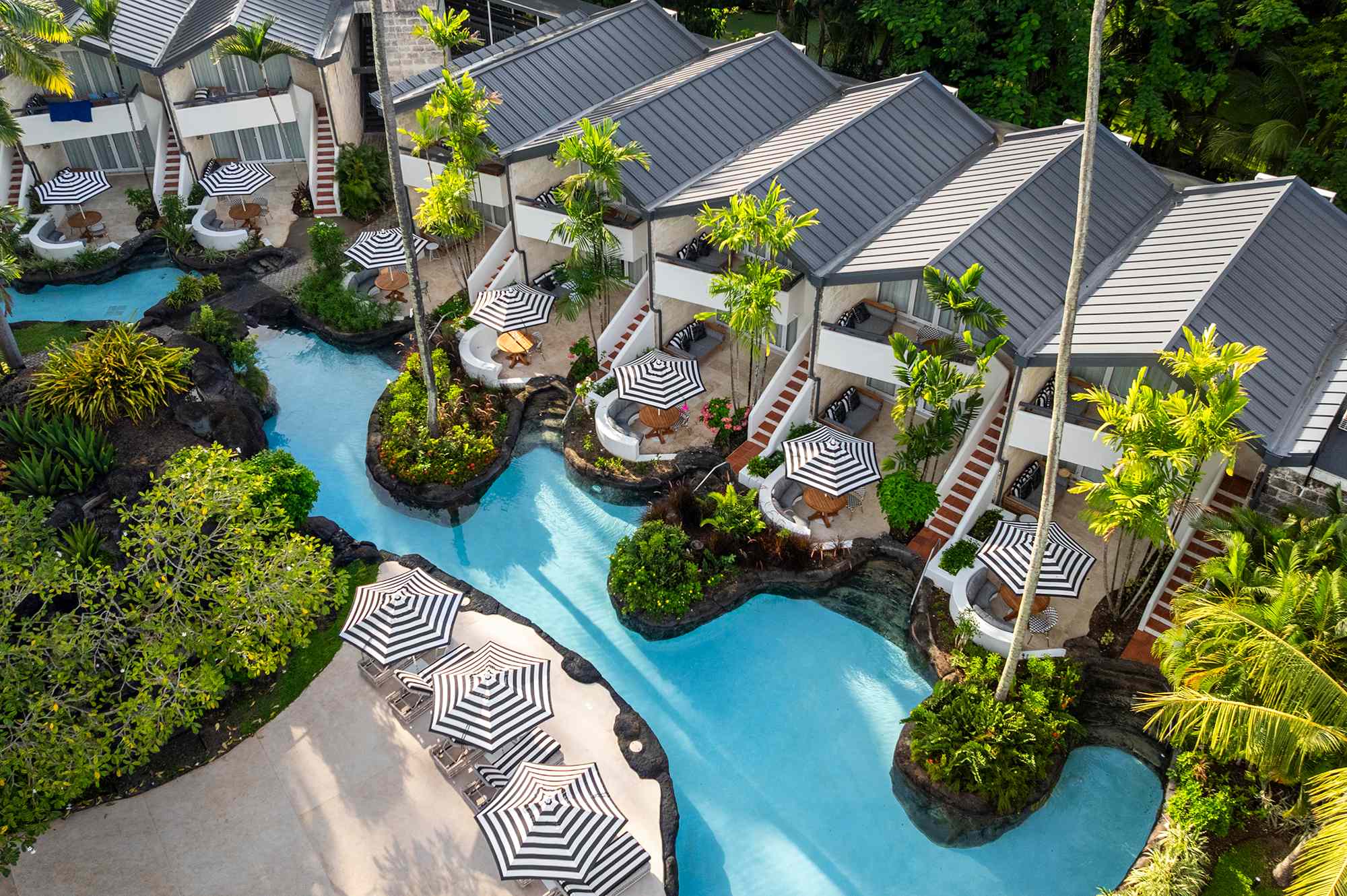 THE COLOUR FESTIVAL EXPERIENCE's image