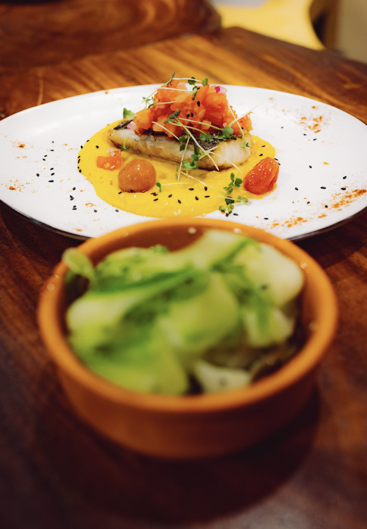 THE COLOUR FESTIVAL EXPERIENCE's image