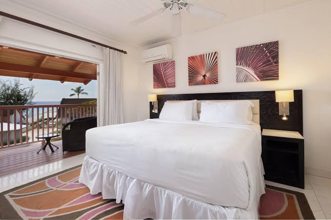 THE COLOUR FESTIVAL EXPERIENCE's image