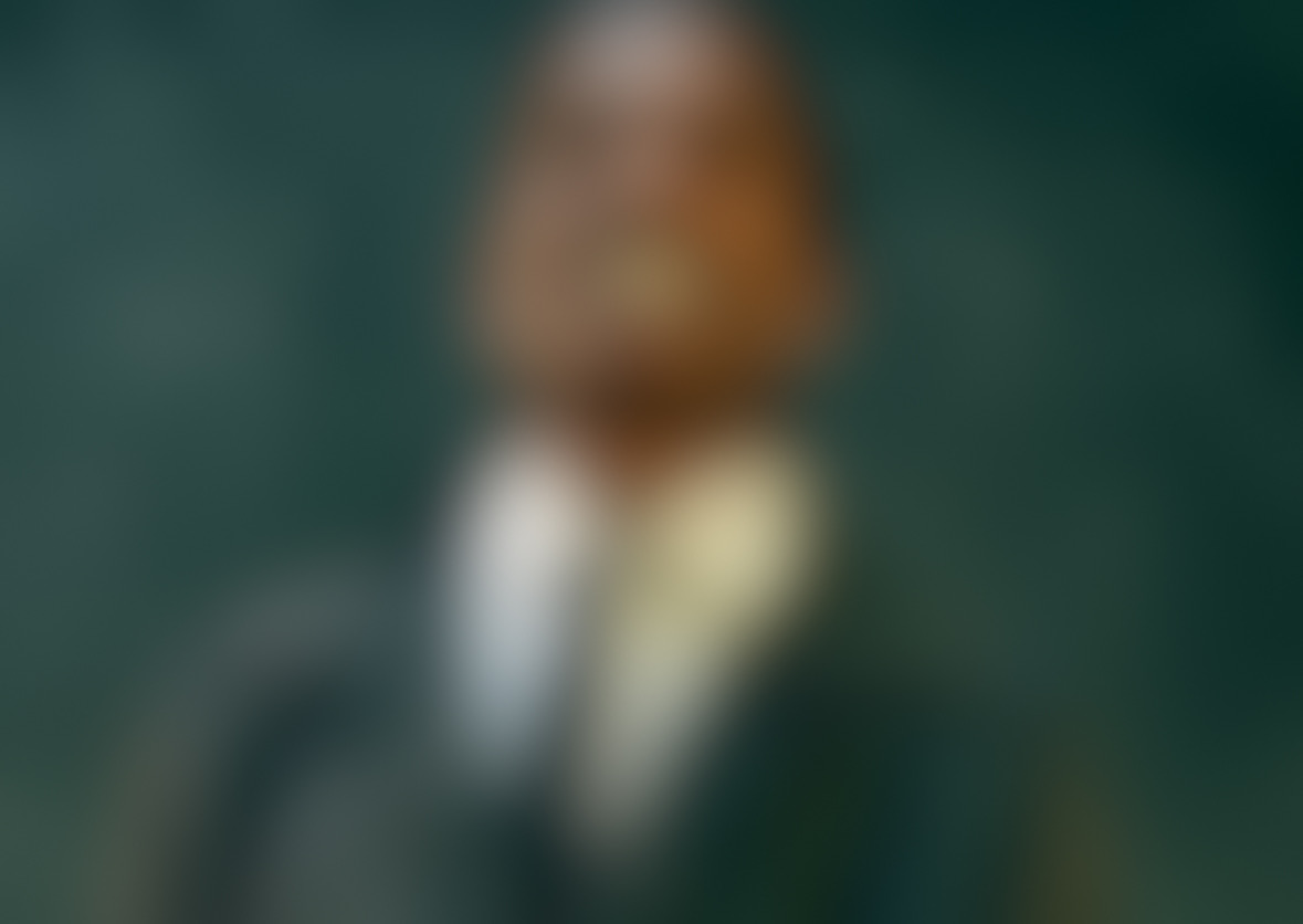 THE COLOUR FESTIVAL EXPERIENCE's image