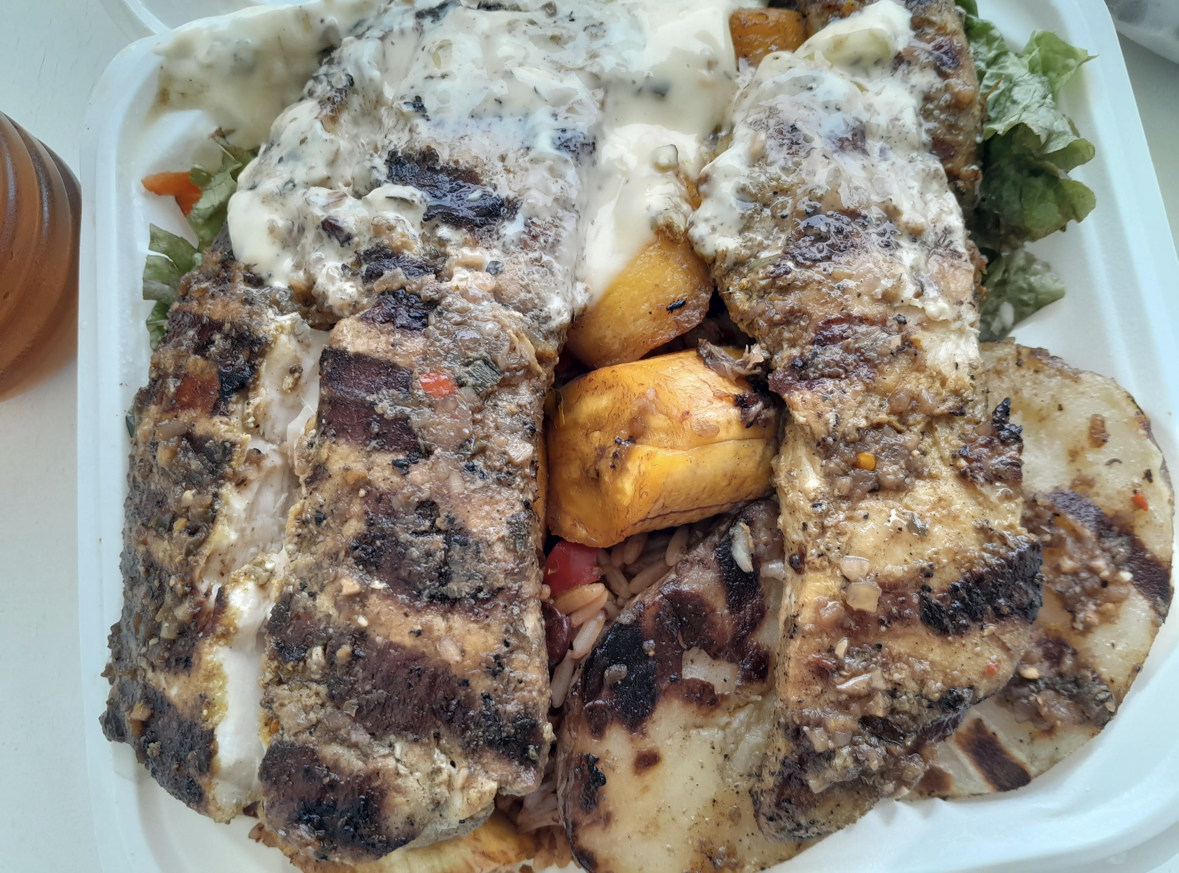 THE COLOUR FESTIVAL EXPERIENCE's image