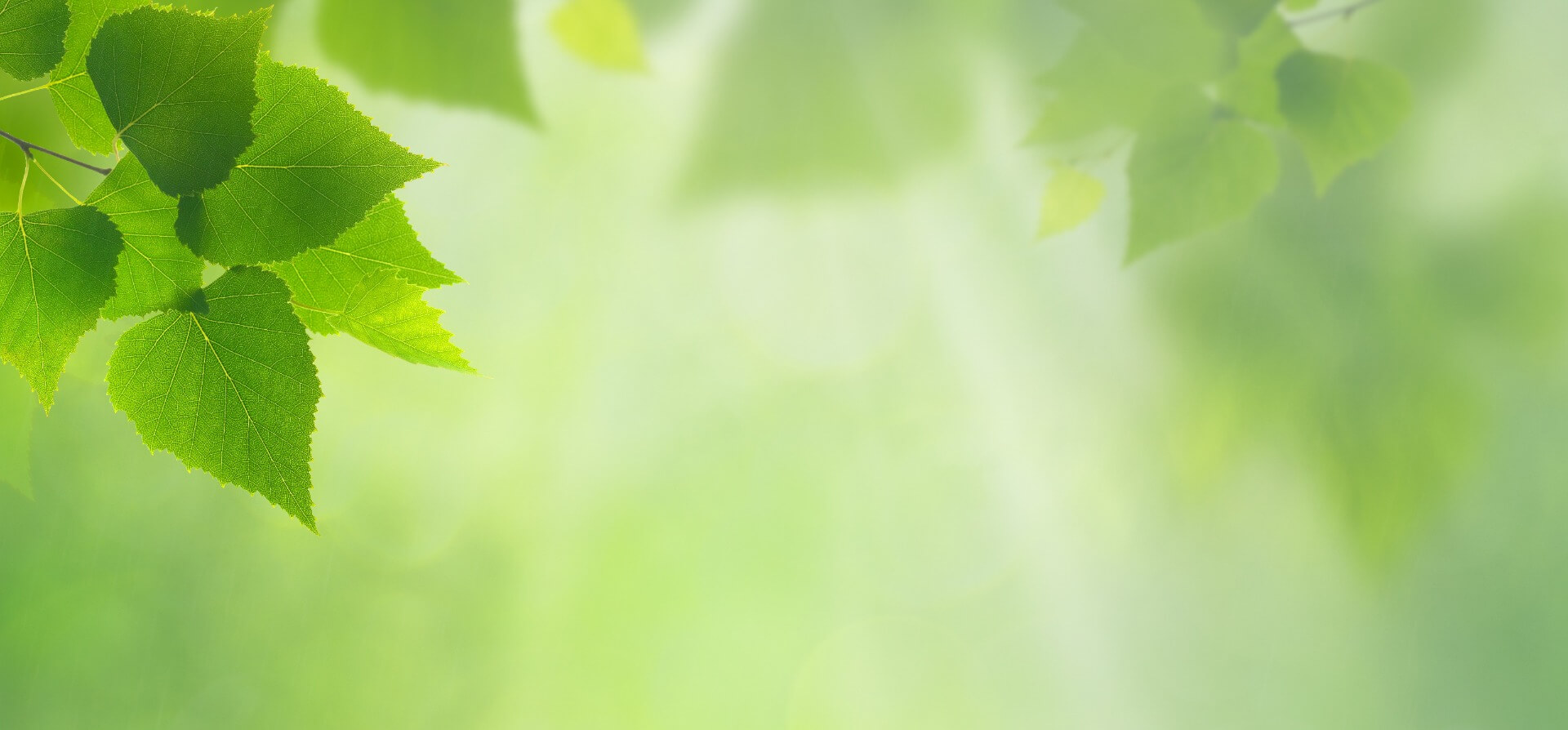 JANNE DAHL-HESSELKILDE avatar