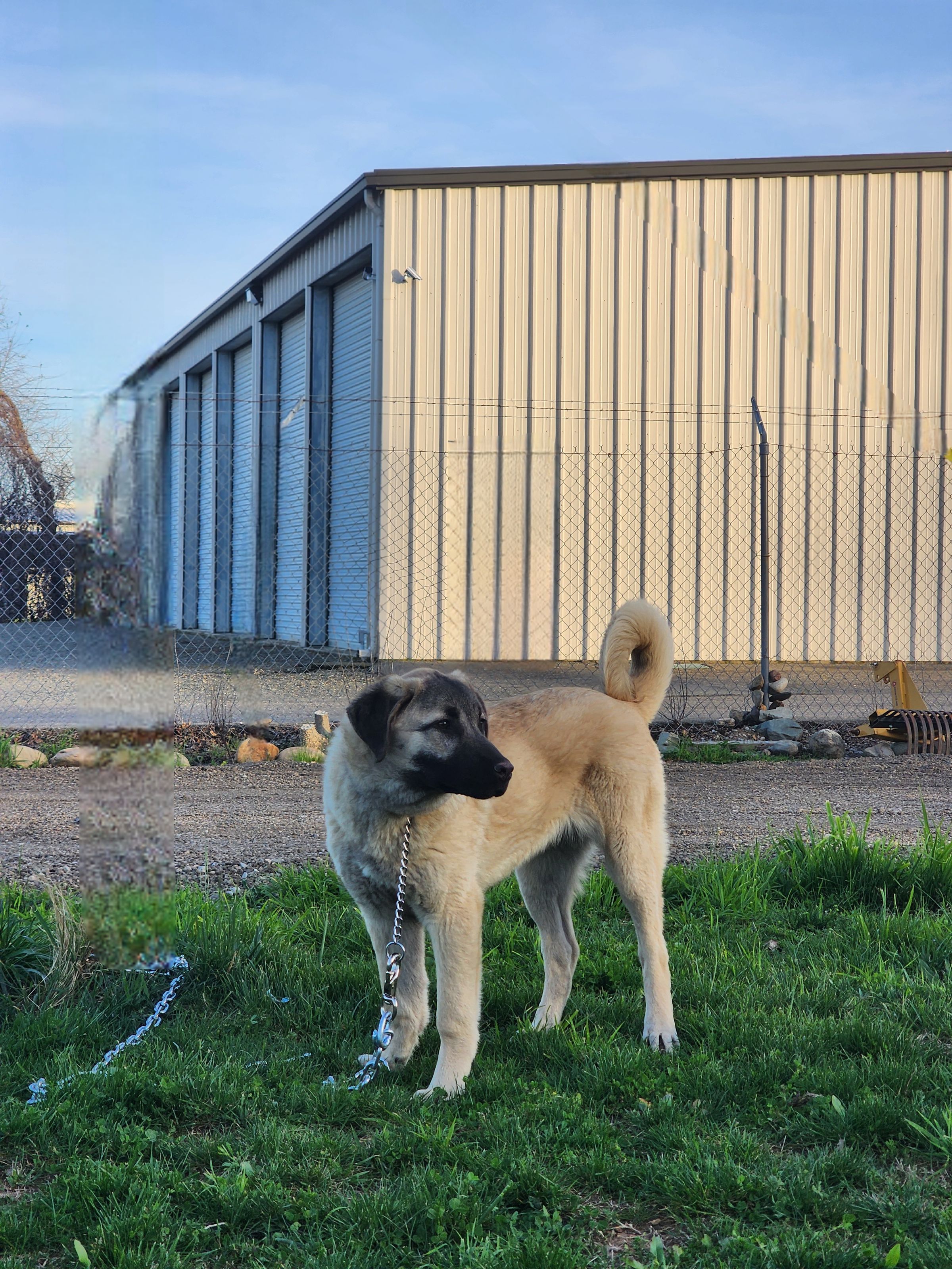 Like Mother Like Daughter 