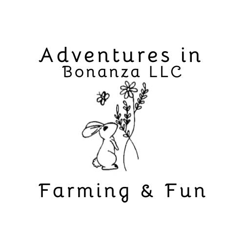 Adventures In Bonanza - Bonanza Oregon 