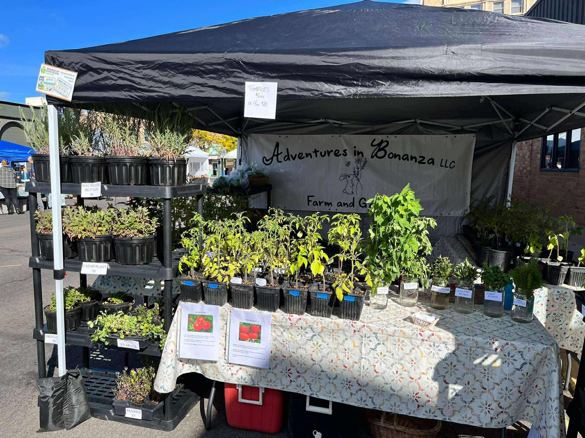 Locally sourced produce 