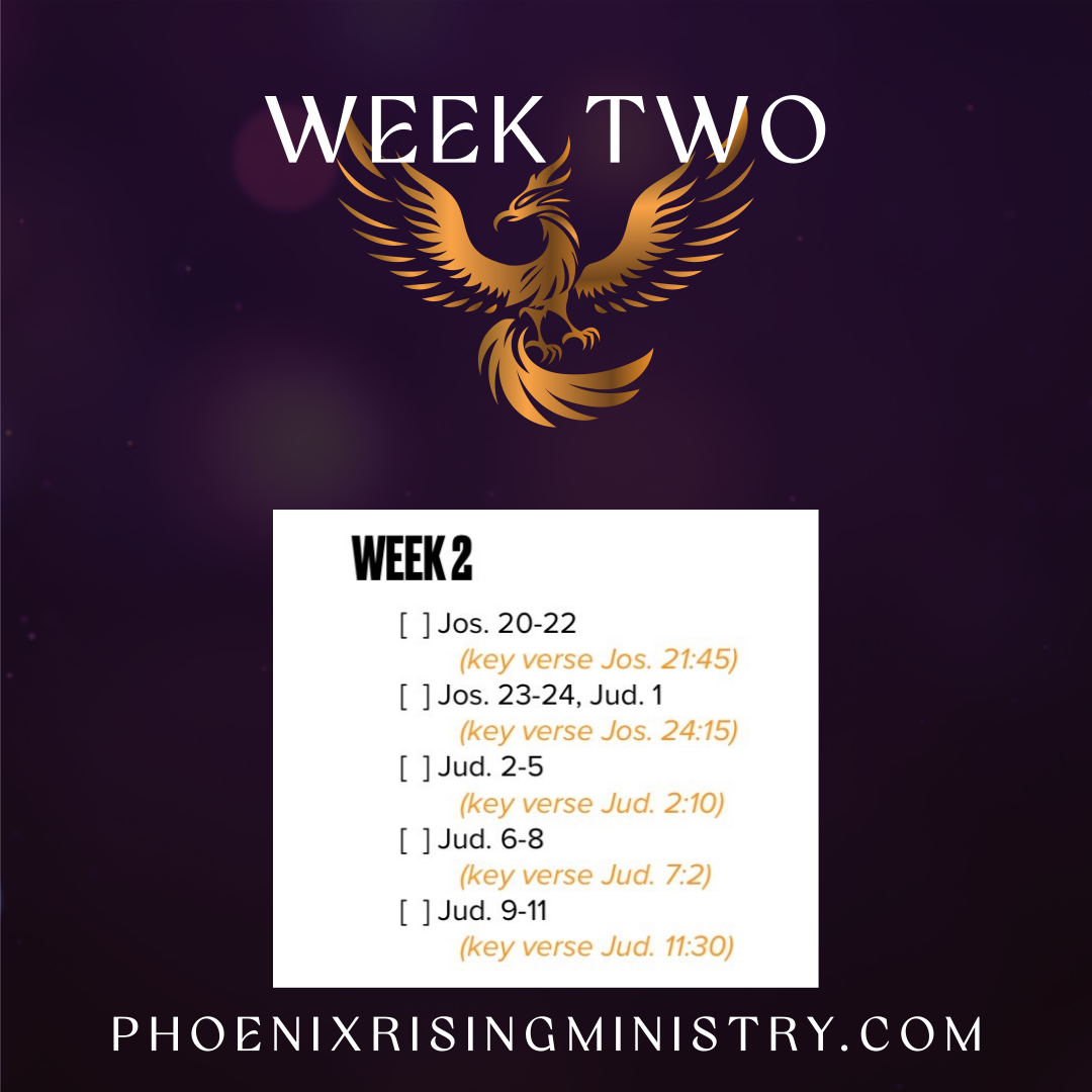 Phoenix Rising's image