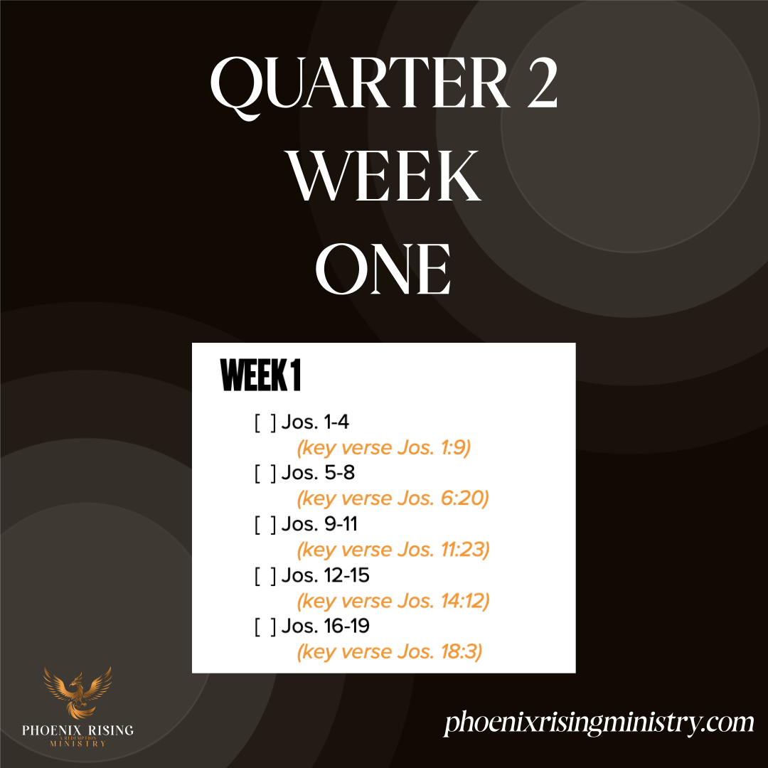 Phoenix Rising's image