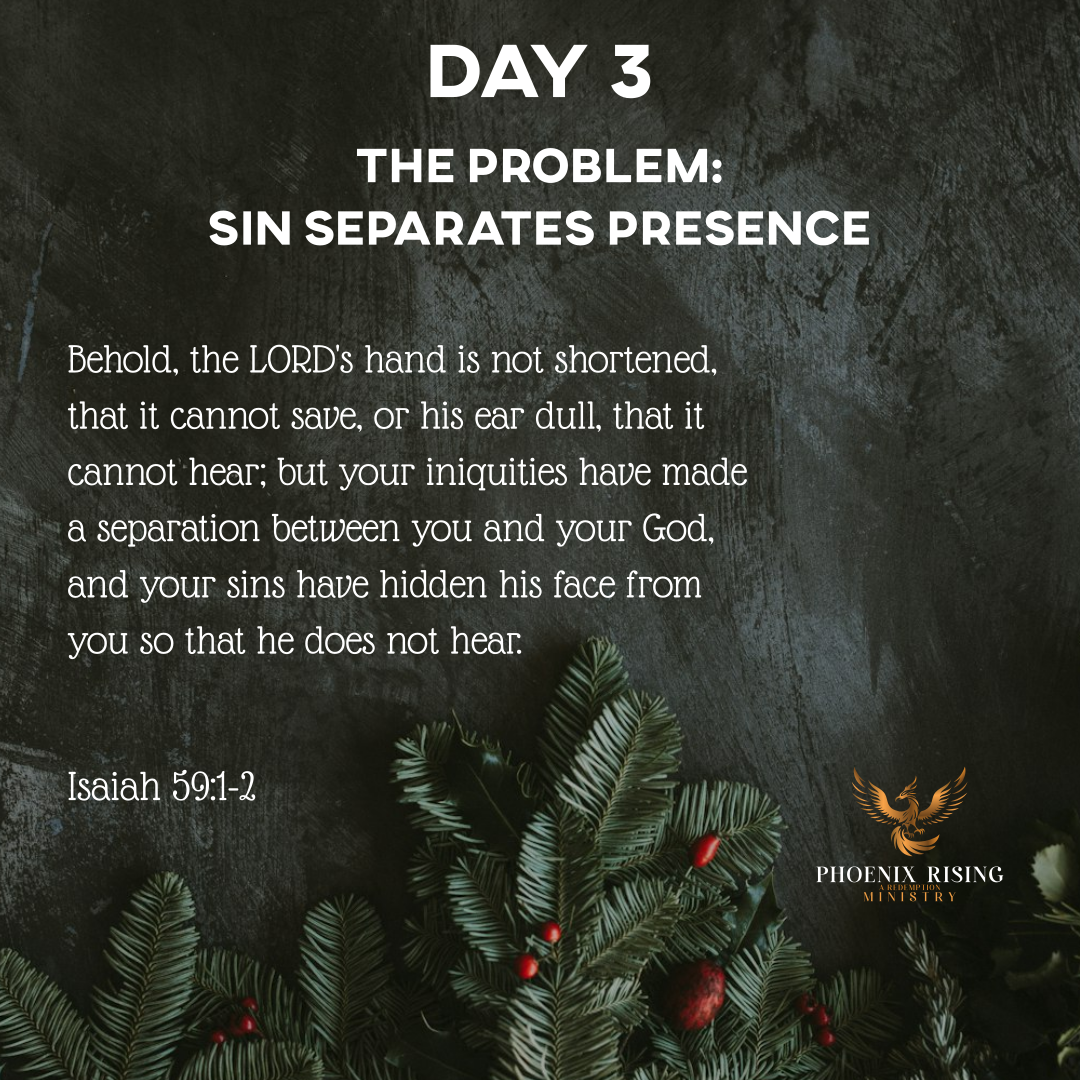 Phoenix Rising's image