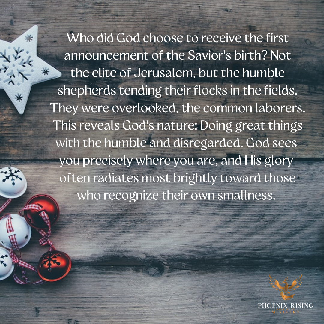 Phoenix Rising's image