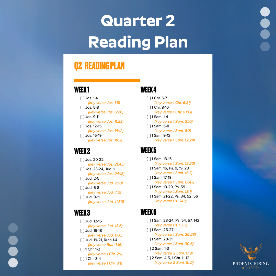 Phoenix Rising's image