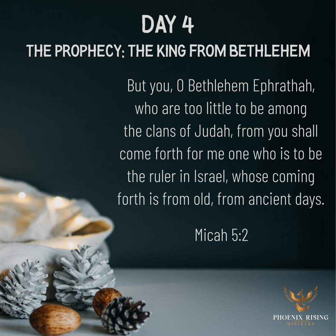 Phoenix Rising's image