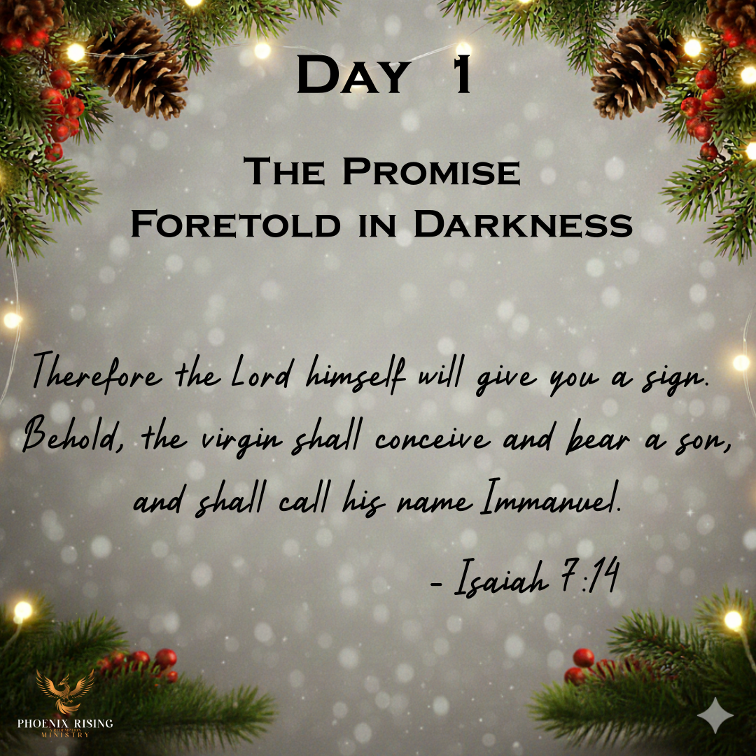 Phoenix Rising's image