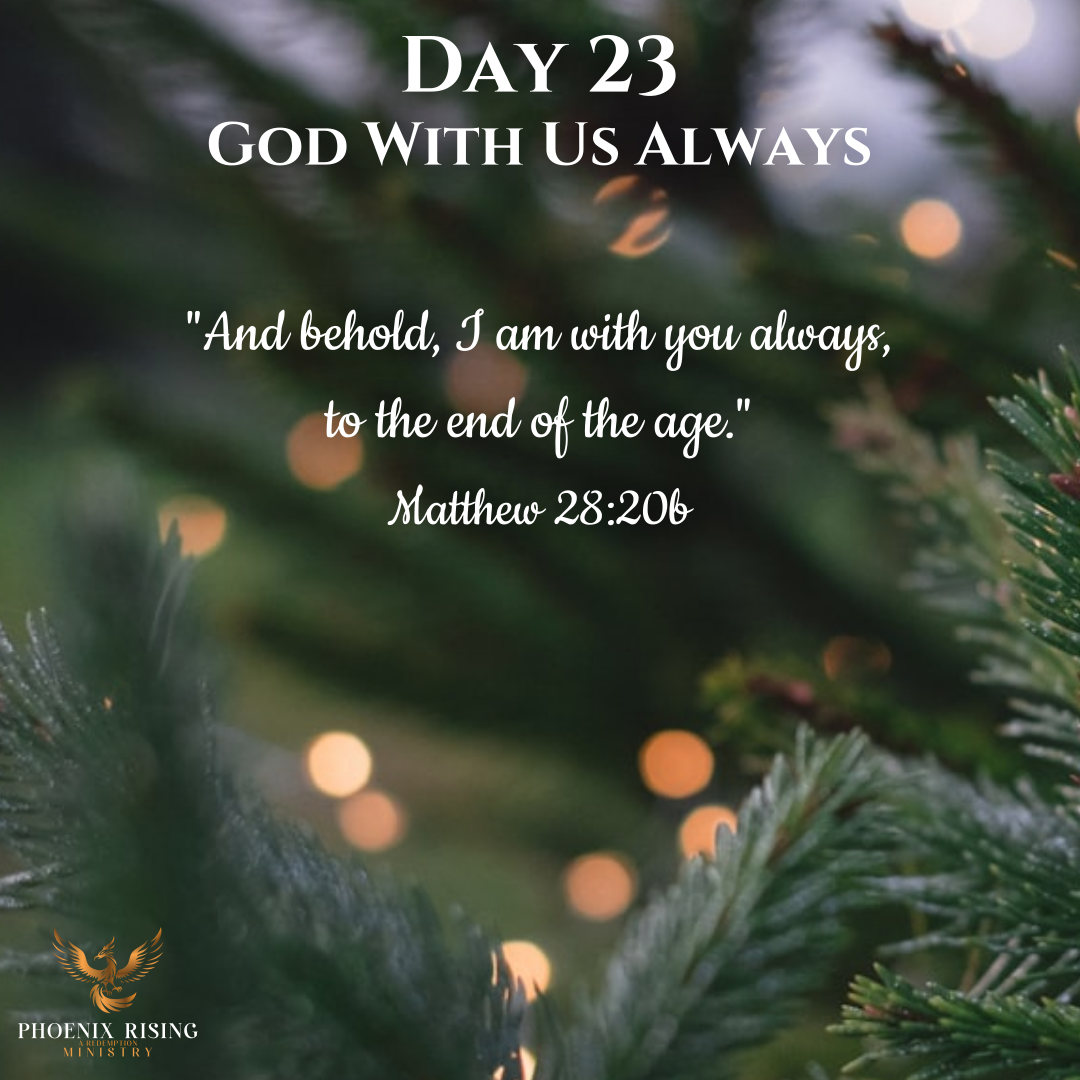 Phoenix Rising's image