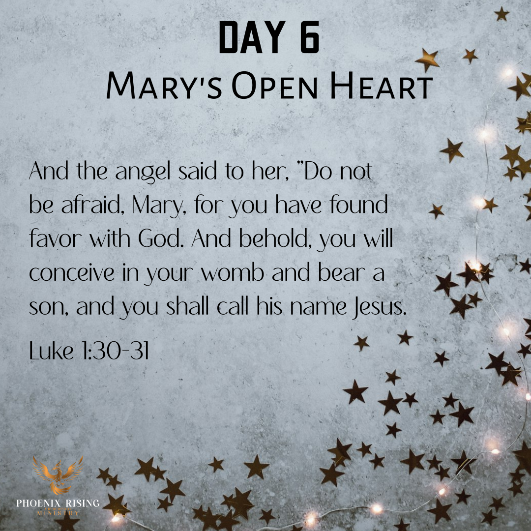 Phoenix Rising's image