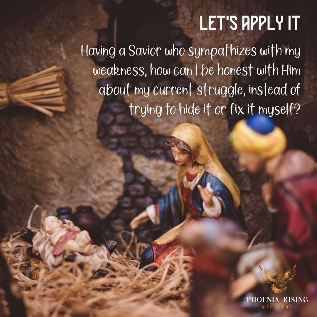 Phoenix Rising's image