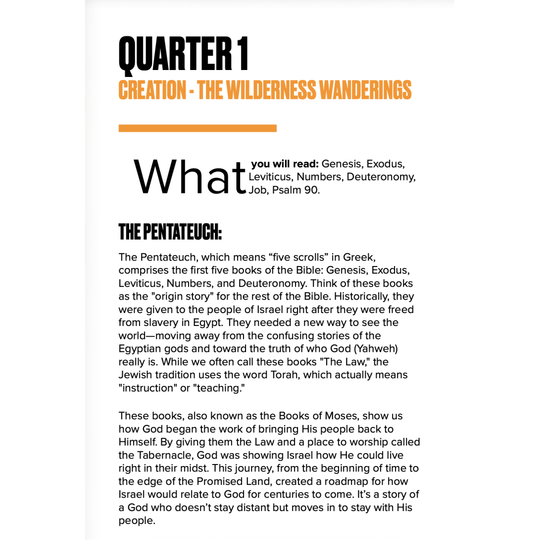 Phoenix Rising's image