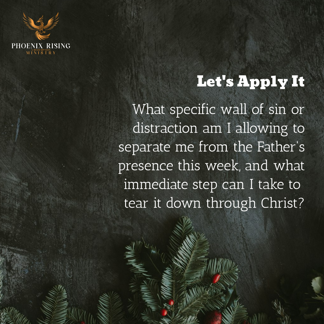 Phoenix Rising's image