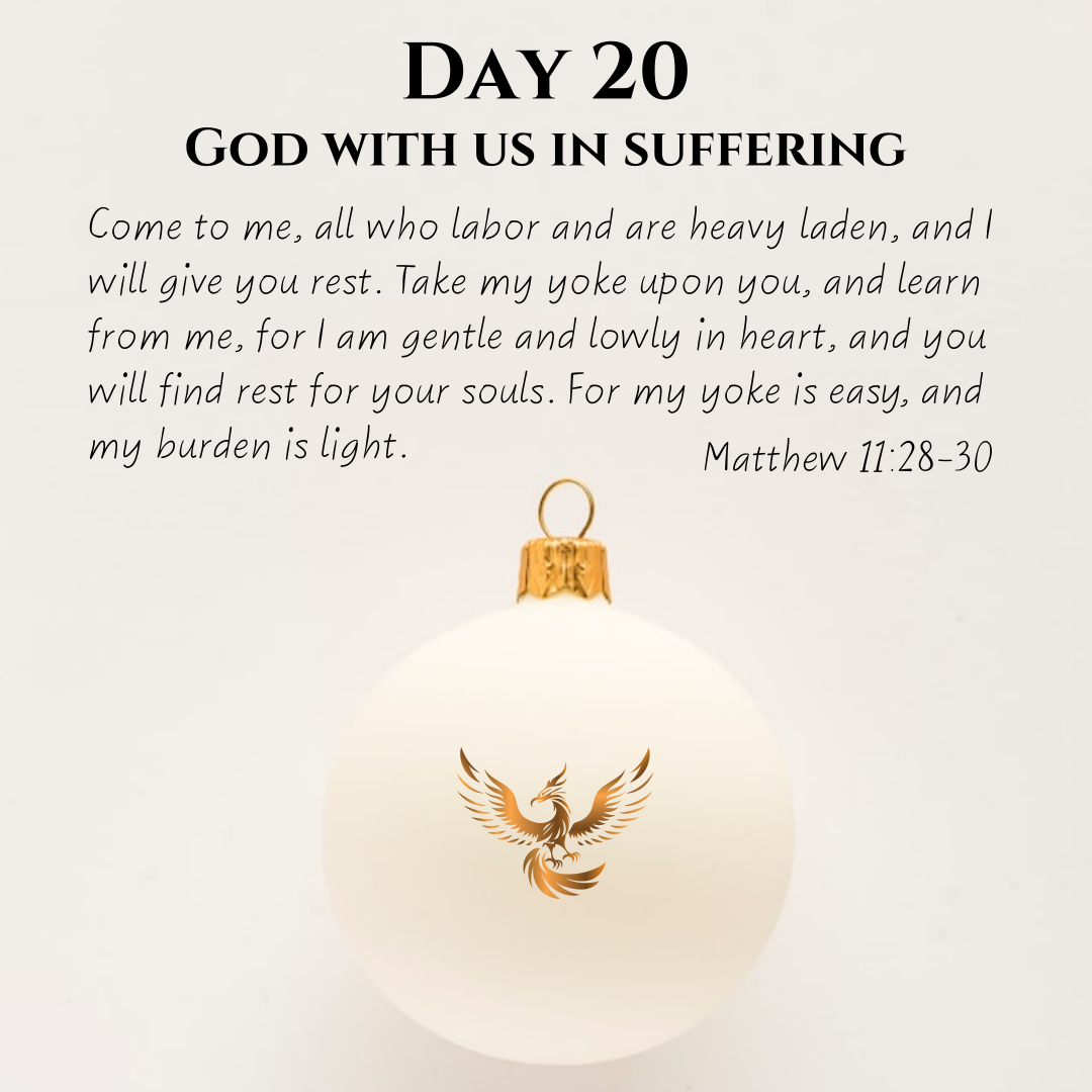 Phoenix Rising's image