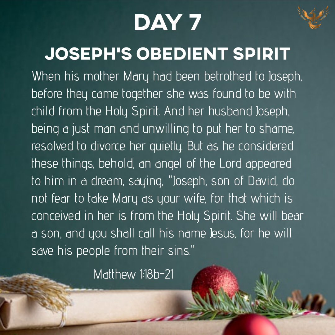 Phoenix Rising's image