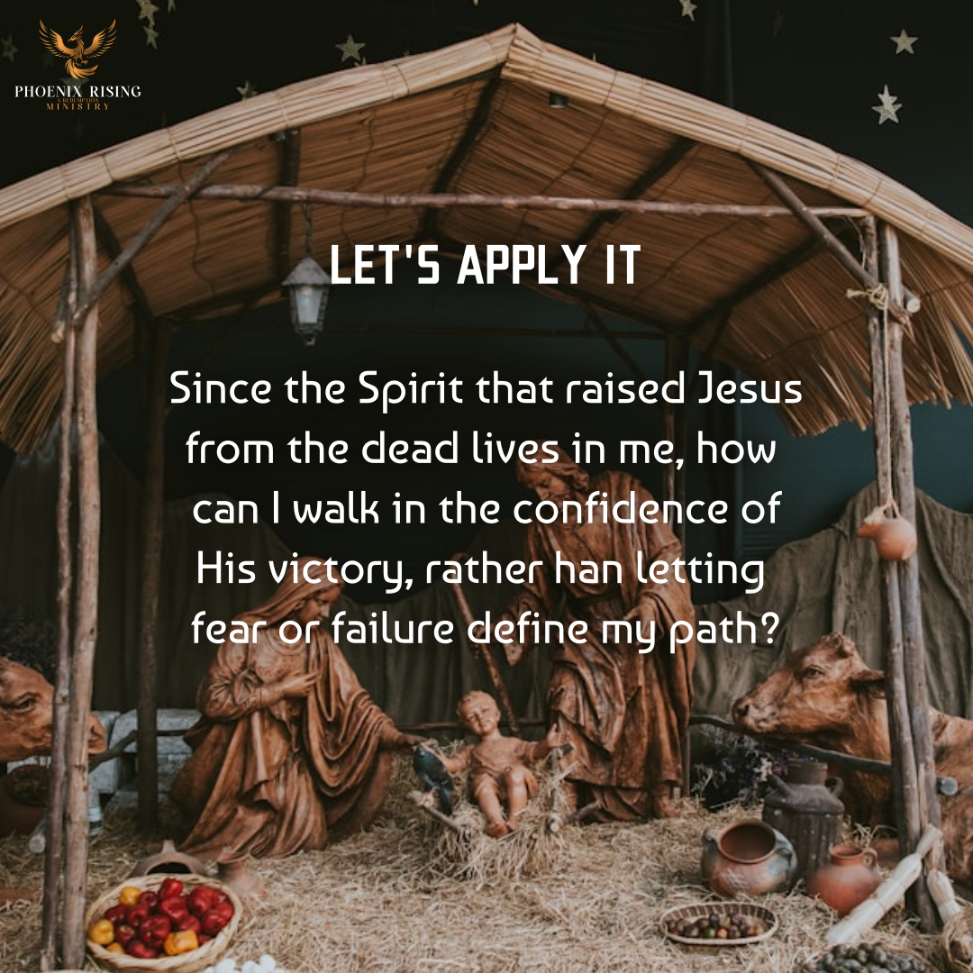 Phoenix Rising's image