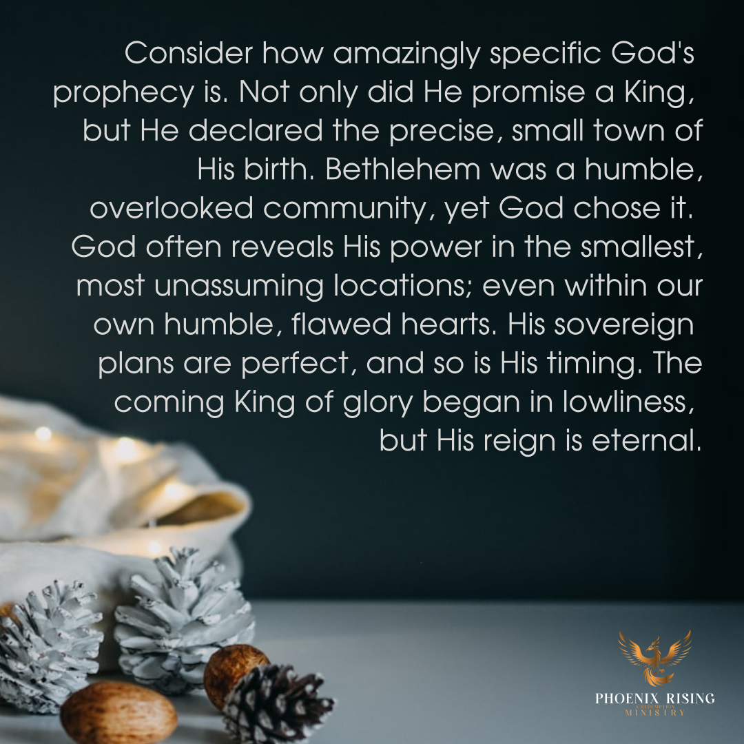 Phoenix Rising's image