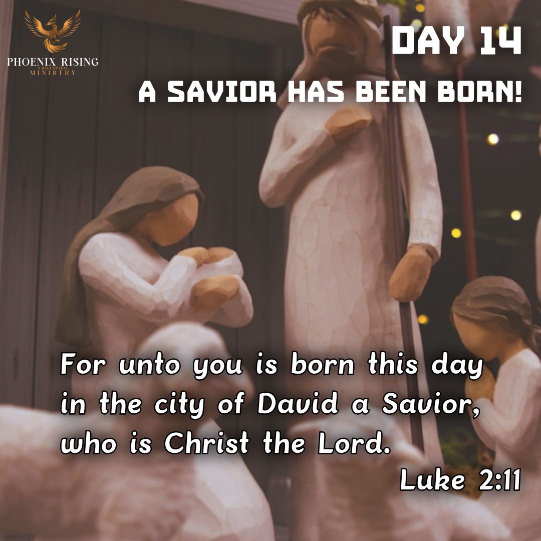 Phoenix Rising's image