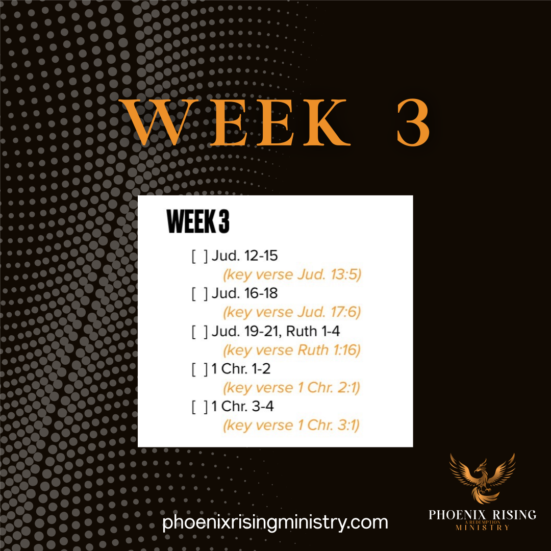 Phoenix Rising's image