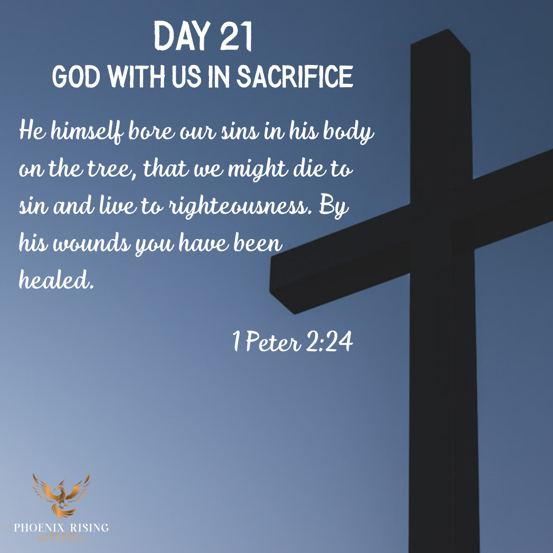 Phoenix Rising's image