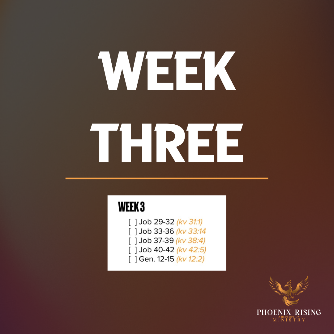 Phoenix Rising's image