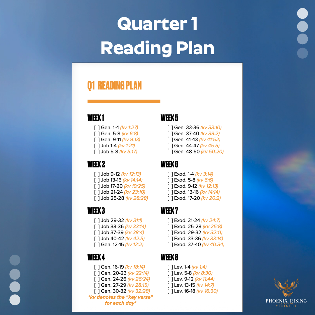 Phoenix Rising's image