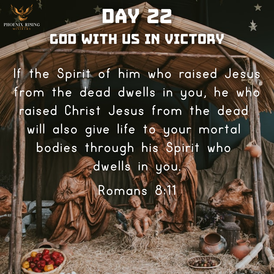 Phoenix Rising's image