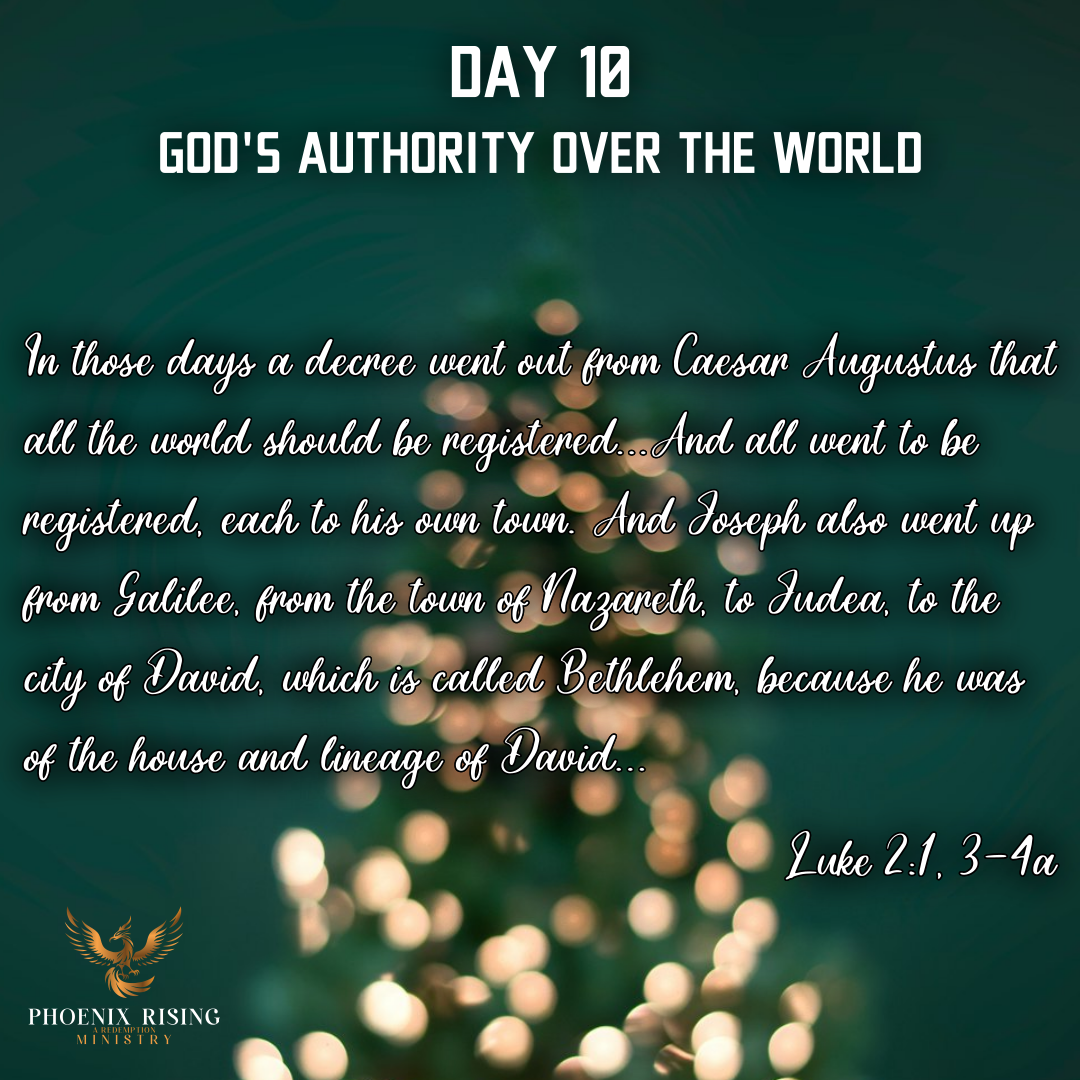 Phoenix Rising's image