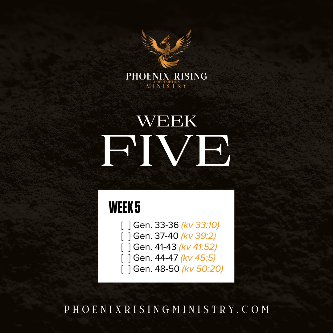 Phoenix Rising's image