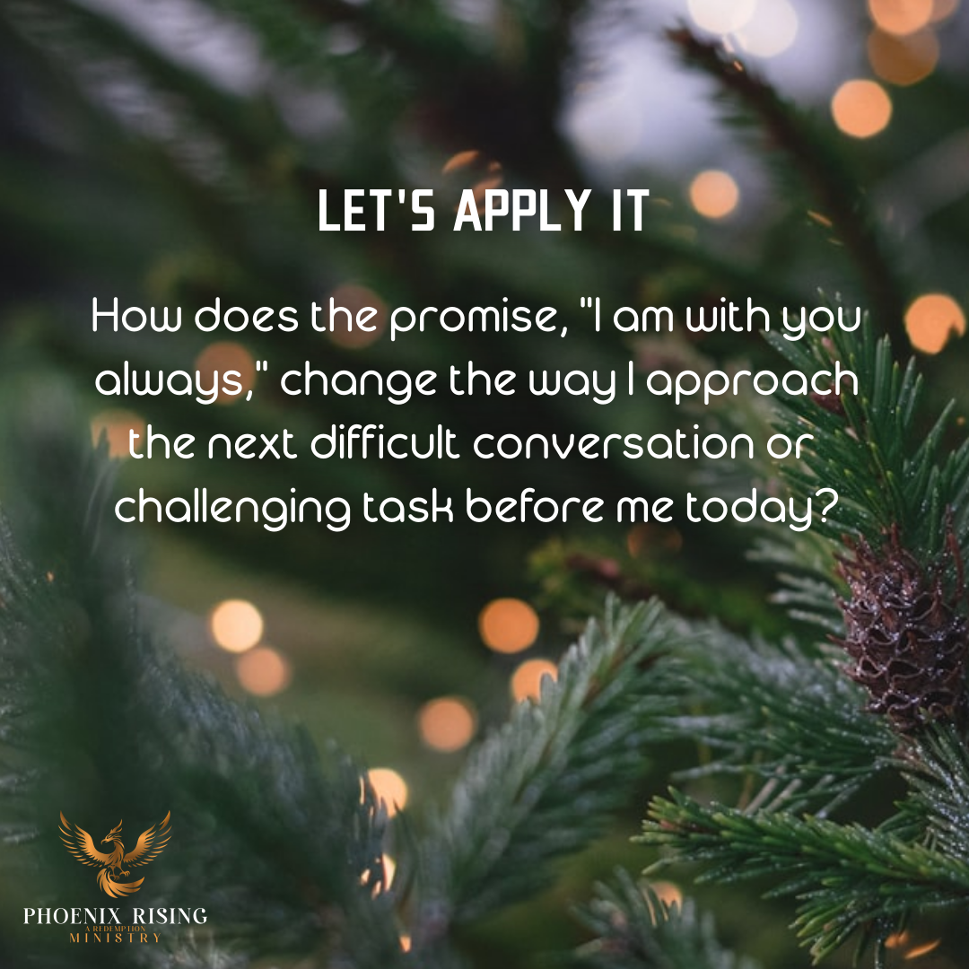 Phoenix Rising's image