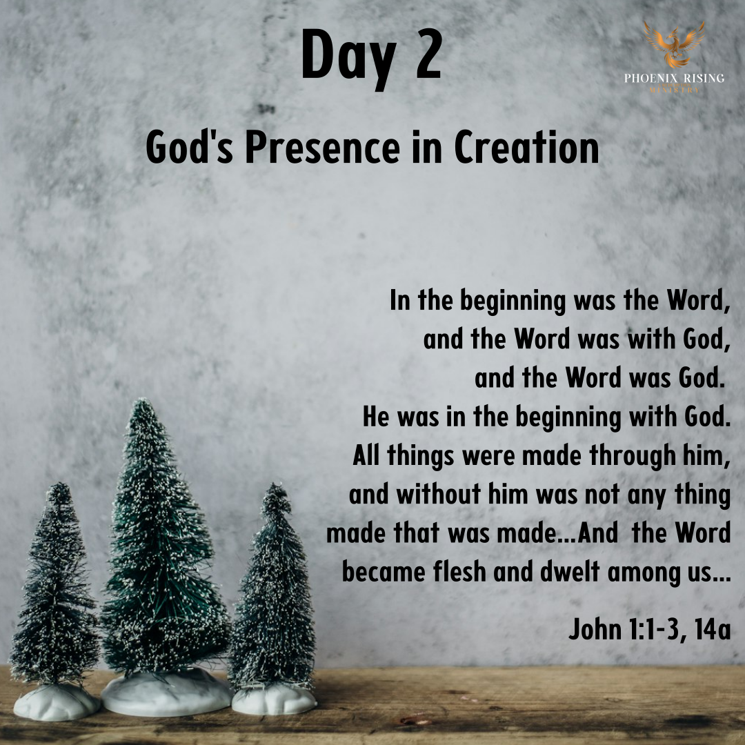 Phoenix Rising's image