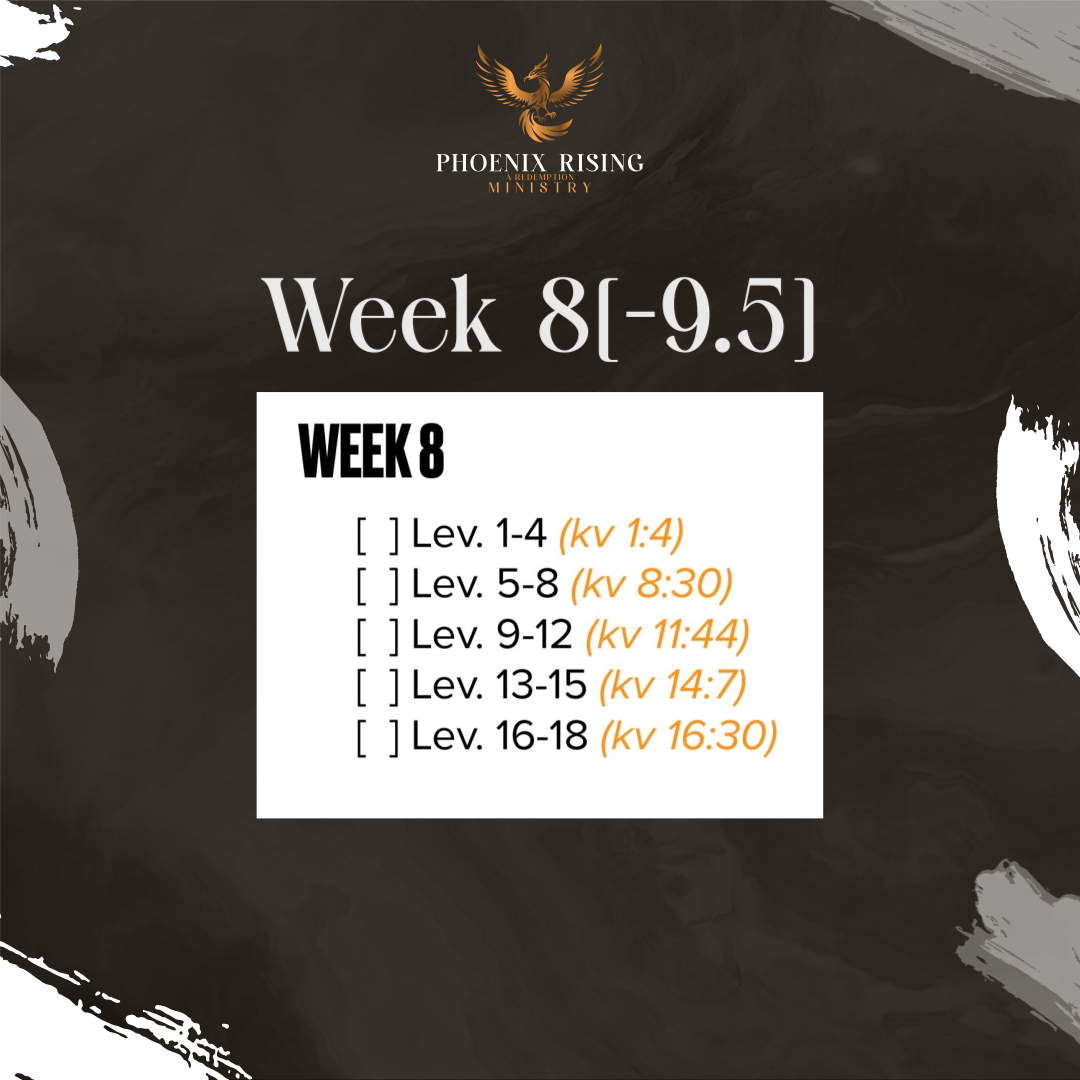 Phoenix Rising's image