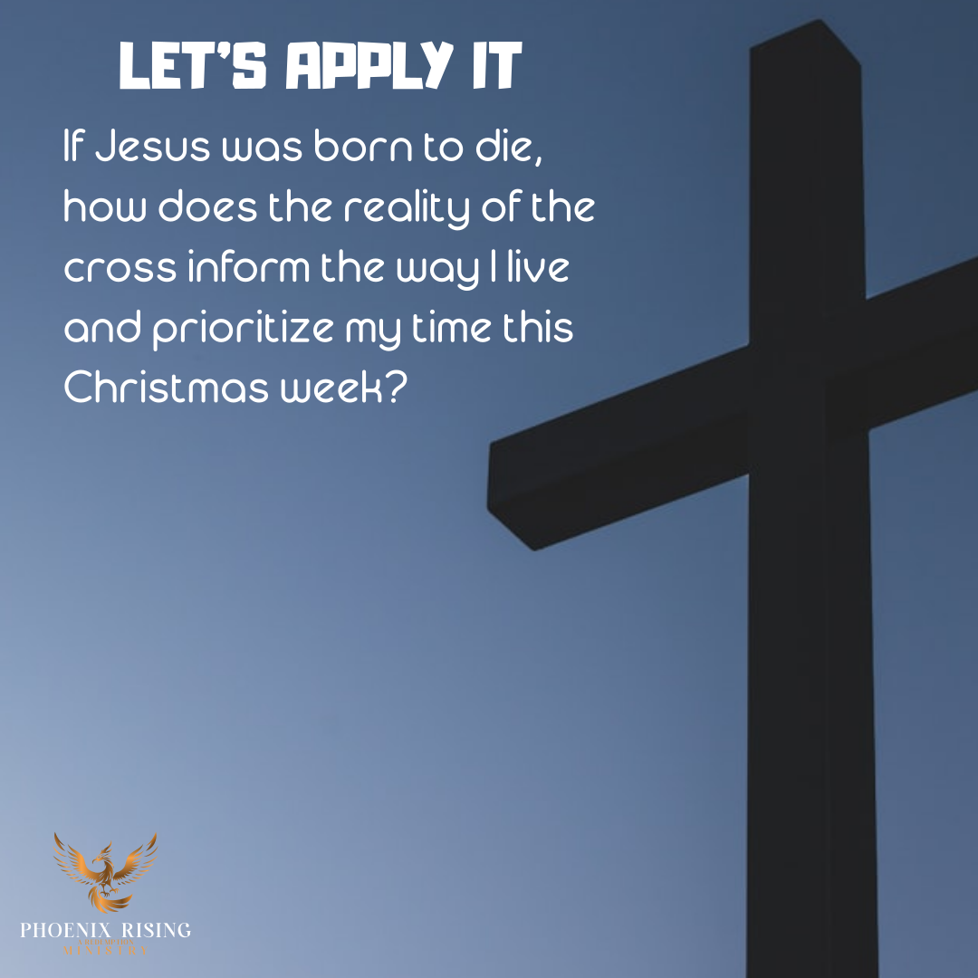 Phoenix Rising's image