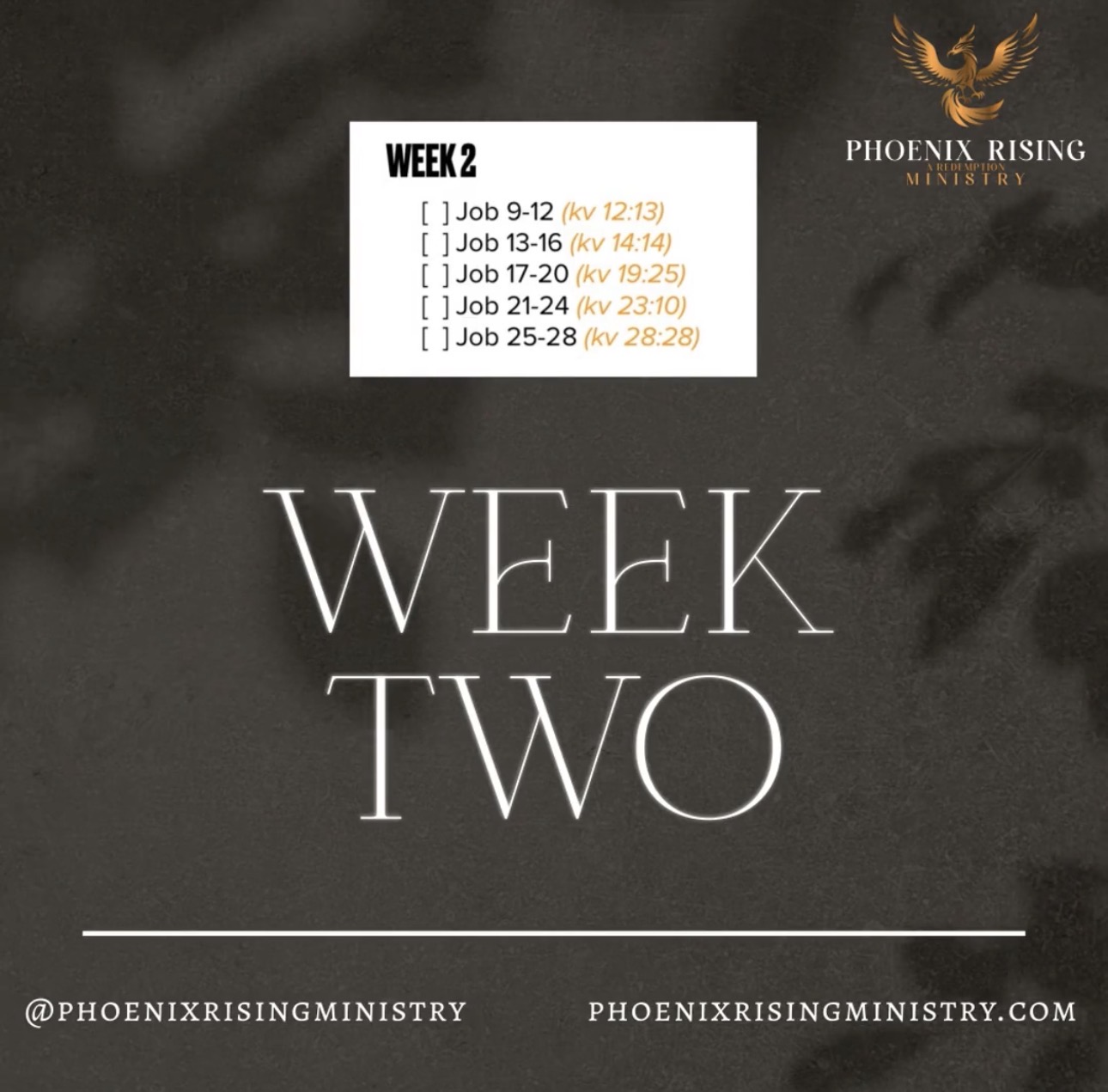 Phoenix Rising's image