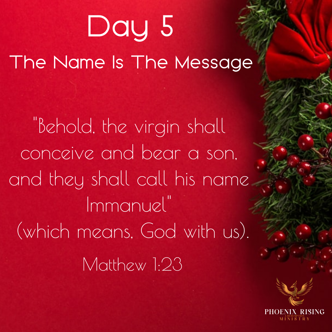 Phoenix Rising's image