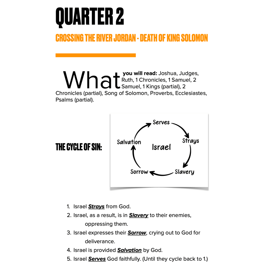 Phoenix Rising's image