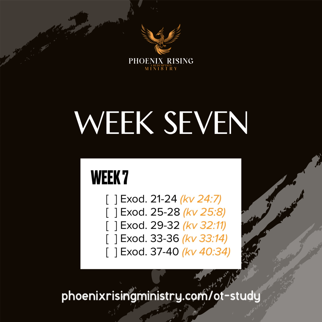 Phoenix Rising's image