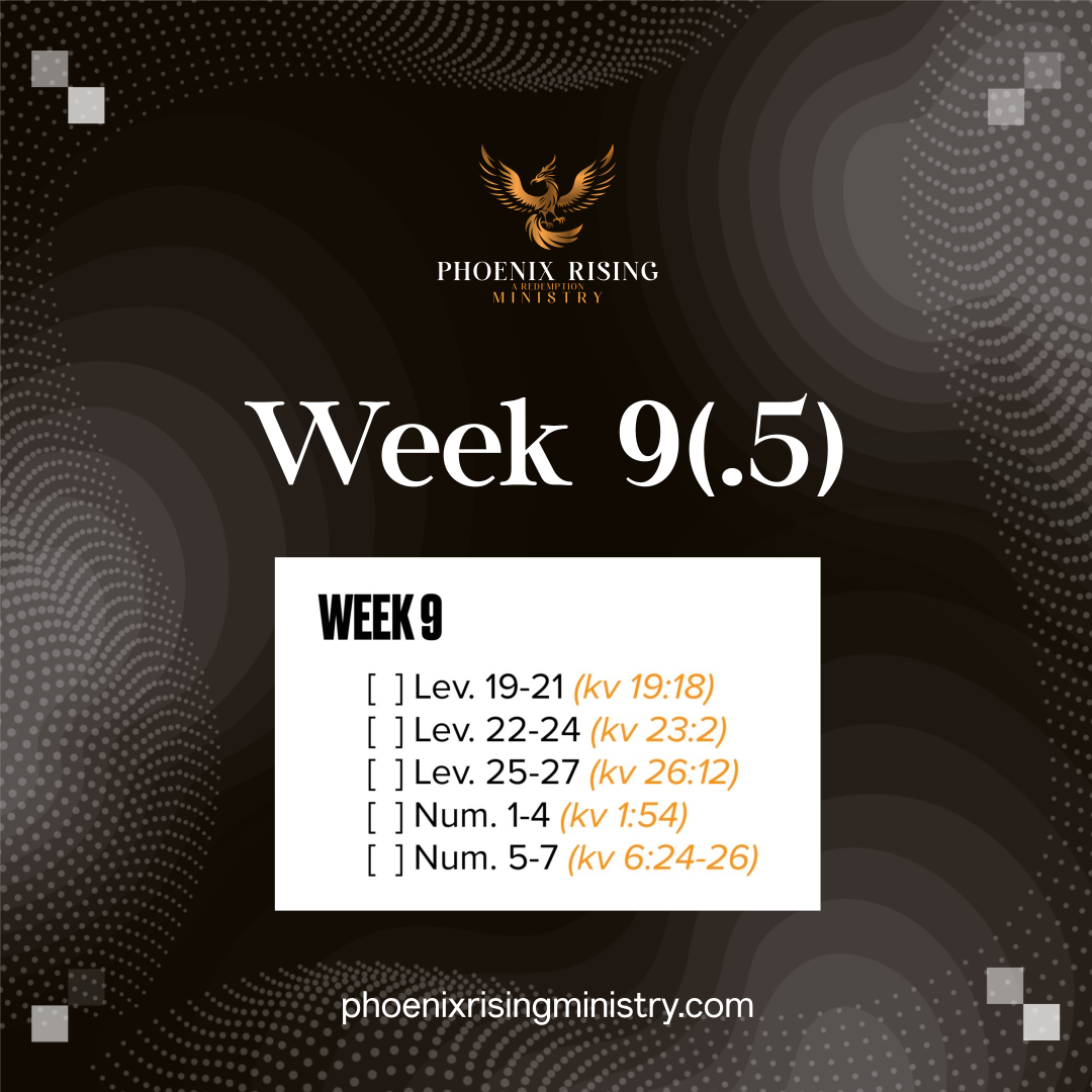 Phoenix Rising's image