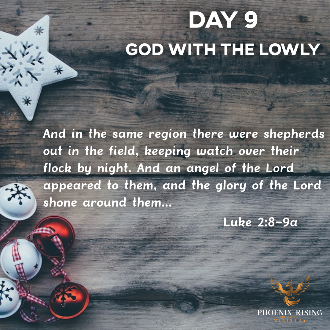 Phoenix Rising's image