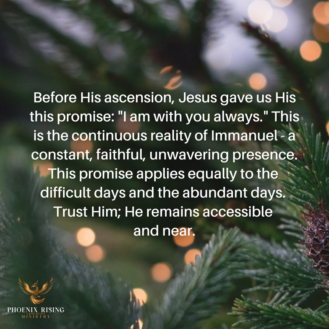 Phoenix Rising's image