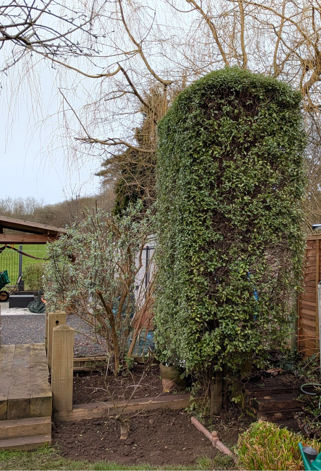 bgbespokegardens.com's image