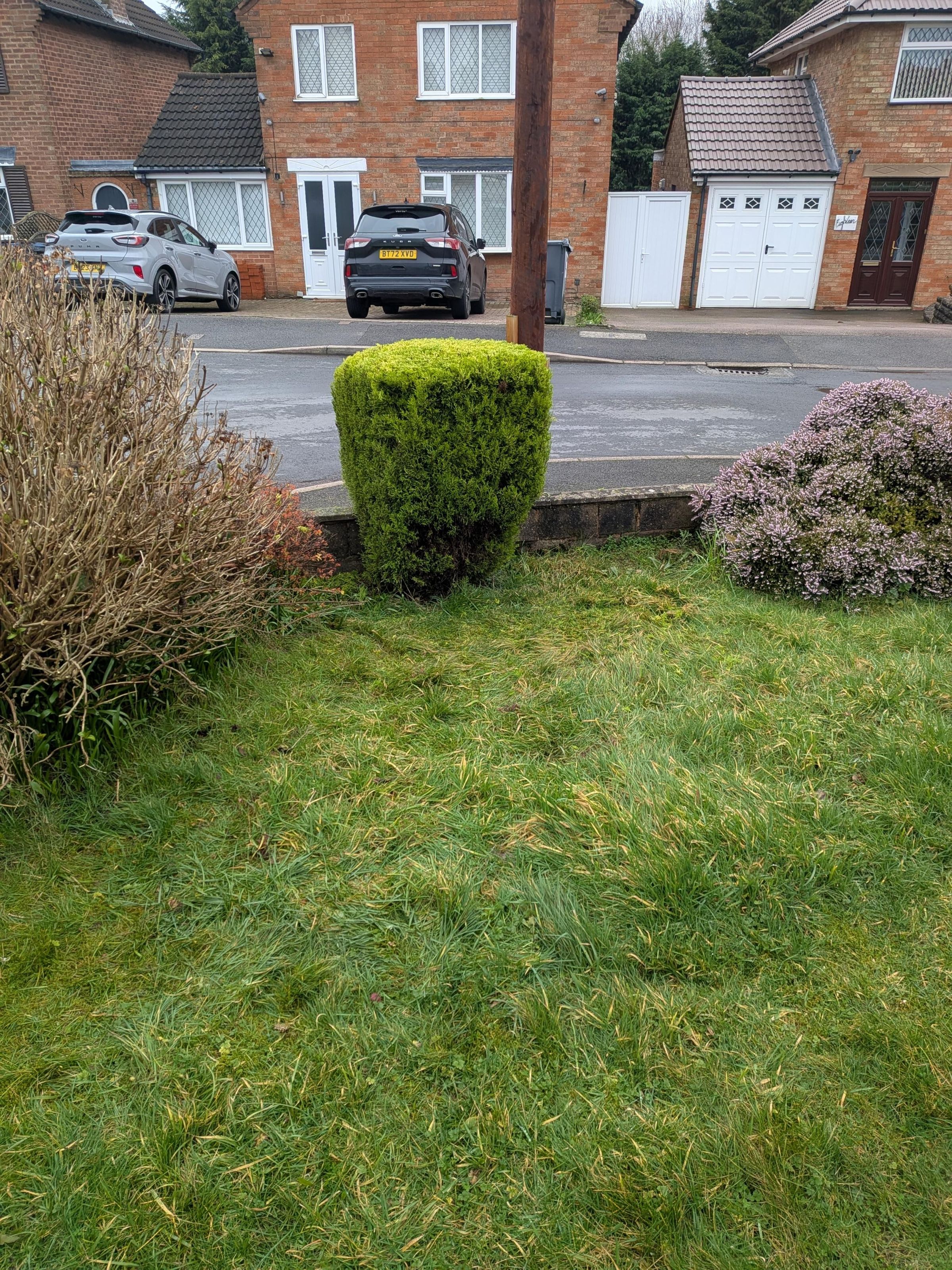 bgbespokegardens.com's image